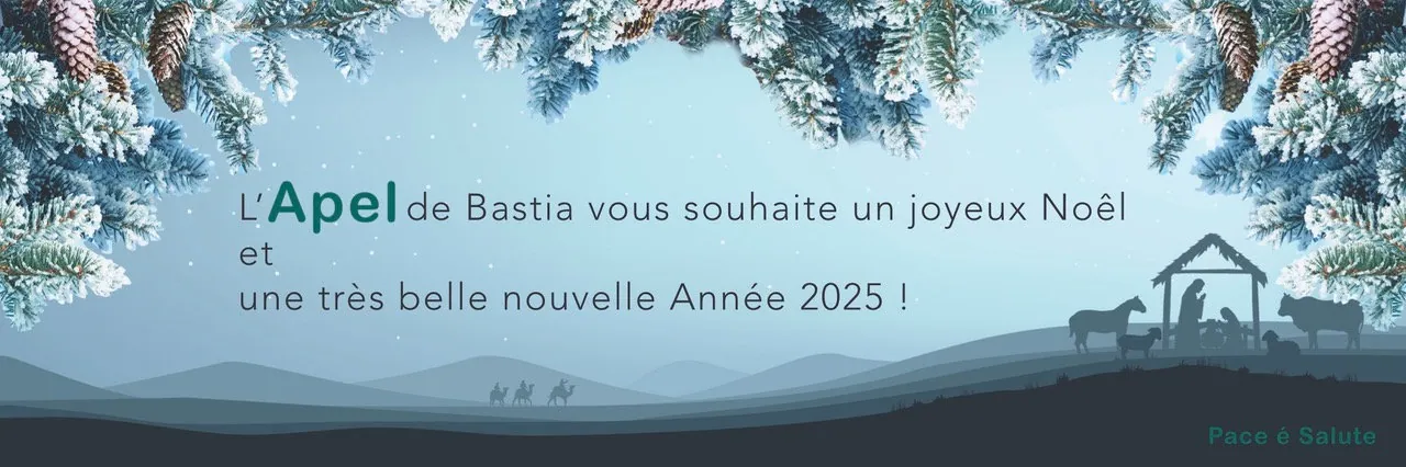 Carte de Voeux 2025 - copie.jpeg